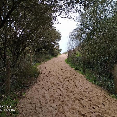 Dolus d'Oléron Logement 88 2-4 Personnes 500 M Plage Classe 2 Etoiles מראה חיצוני תמונה