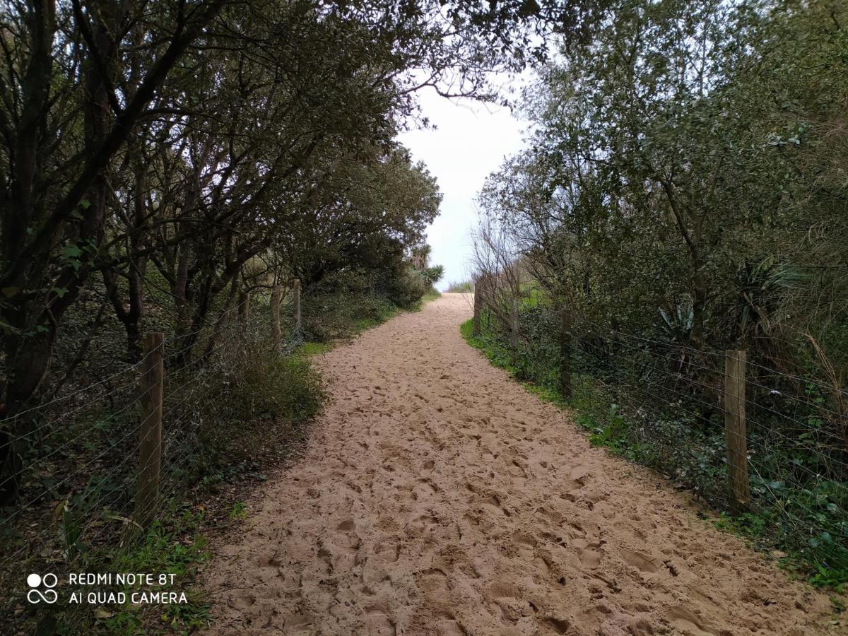 Dolus d'Oléron Logement 88 2-4 Personnes 500 M Plage Classe 2 Etoiles מראה חיצוני תמונה
